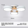 Nordic Modern LED Ceiling Lamp